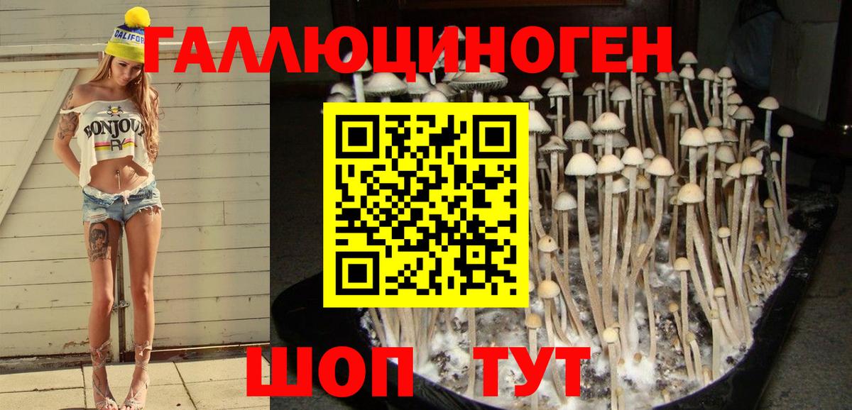 Псилоцибиновые грибы Cubensis Реж